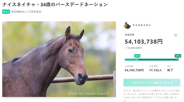 ナイスネイチャ34歳バースデードネーションに「5400万円超」　引退馬の再就職支援などに活用