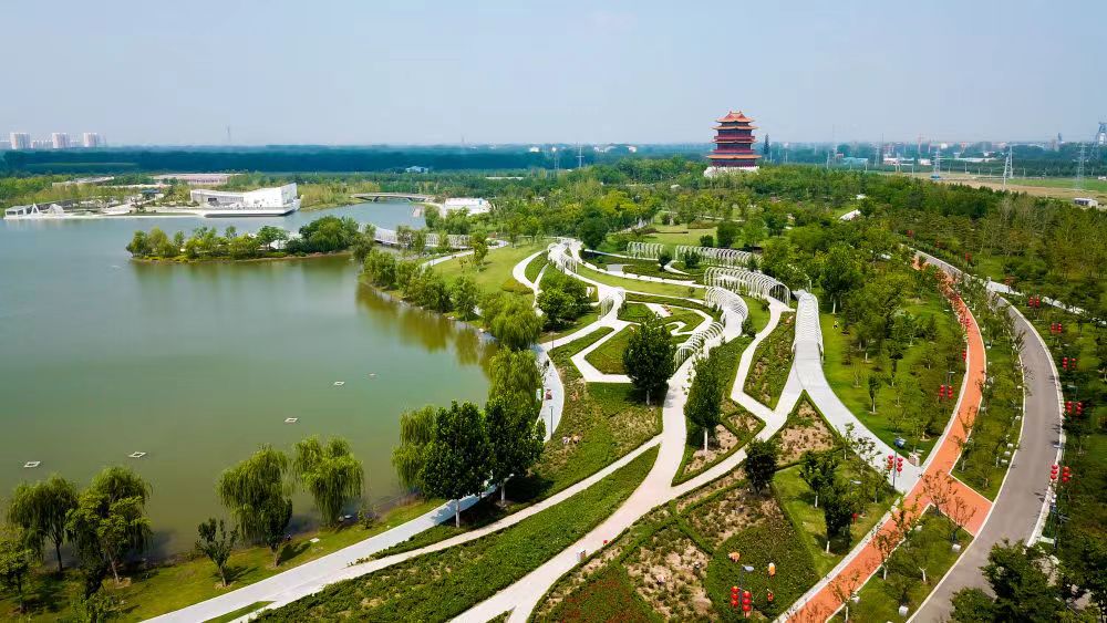 山東省済寧市任城区：秋の「鳳凰台植物公園」