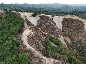 鴨川メガソーラー、未許可の森林で伐採　工事、一時停止に