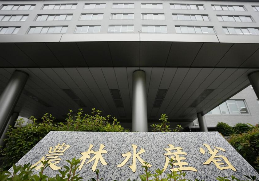 コメ在庫、最大の243万トン　民間適正量を大幅超過